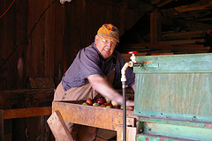 Bob Hubbell loads apples onto a conveyor belt on the top flood of his cider press barn : Julia Reischel